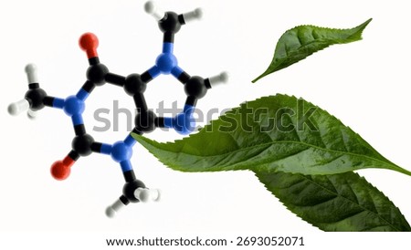 A 3D molecular model of caffeine with tea leaves, illustrates the relationship between caffeine and tea, floats within background.