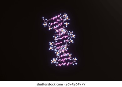3D molecular visualization of the DNA double helix, created using Protein Data Bank data (PDB ID: 1BNA), and rendered with Blender, based on Drew, H.R. et al., Proc Natl Acad Sci U S A 78: 2179–2183.