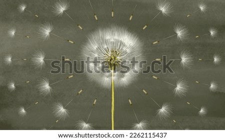Similar – Image, Stock Photo growing branch of a tree in the forest