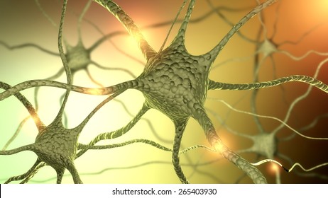 Autoreceptor Images, Stock Photos & Vectors | Shutterstock