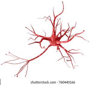 3d neuron isolated on white background closeup. A high resolution.