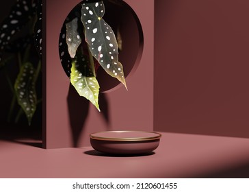 3D Podium, Display Background. Nature Cosmetic Or Beauty Product Promotion, Cricle Frame Mockup. Step Pedestal, Exotic Dot Leaf Begonia Plant Shadow.  Copy Space 3D Render Illustration, Empty Banner