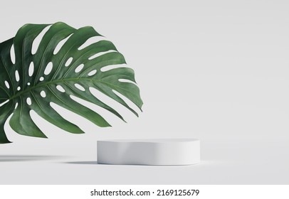 3D Podium Display White Background With Green Monstera Palm Leaf. Pedestal Stand For Beauty, Cosmetic Product Promotion. Summer, Exotic Leaves, Nature Jungle Abstract 3D Render Mockup Backdrop Advert