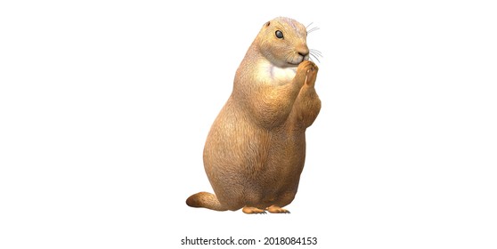 3d Prairie Dog On A White Background