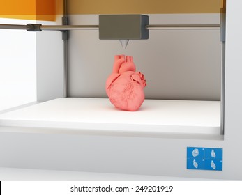 3d Printed Heart