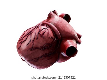 3d Realistic Anatomy Human Heart Isolated Stock Illustration 2143307521 ...