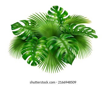 3d Realistic Background Green Tropical Leaves Stock Illustration ...