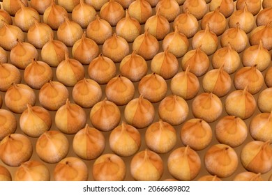3D realistic sets of bow models lying next to each other. Isometric bow models on a beige background. 3D graphics, close-up