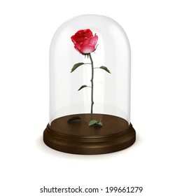 3d Red Rose In A Glass Dome