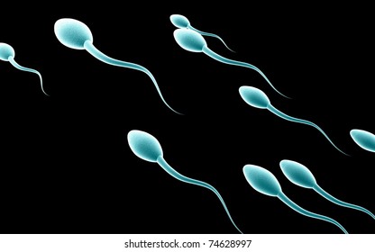 Photos of sperm