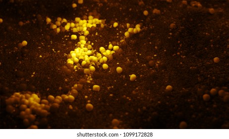 3d render abstract background.  Close up of random small sphere like element with organic material of surface. Microbe colony concept.