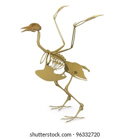 3d Render Of Bird Skeleton