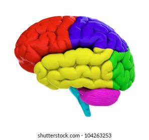 33,539 Brain part Images, Stock Photos & Vectors | Shutterstock