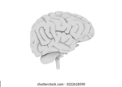 3d Render Of Brain - Side View