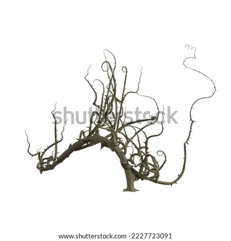 3d render briar isolated thorns
