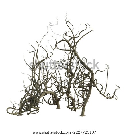 3d render briar isolated thorns
