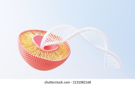 3d Render Cell Membrane Phospholipid Bilayer. Layers Of Molecules. Gene Expression. Nucleotide Database. Fluid Mosaic Model For Education. Human Gene. Plasma Membrane Structures. 