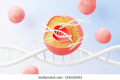 3d Render Cell Membrane Phospholipid Bilayer. Layers Of Molecules. Gene Expression. Nucleotide Database. Fluid Mosaic Model For Education. Human Gene. Plasma Membrane Structures.