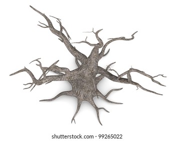 3d Render Of Dead Tree From Top