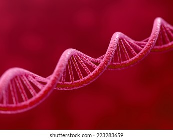 3d Render Of DNA On Red Background 