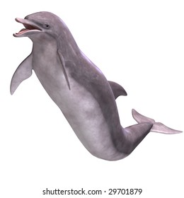 3D Render of a Dolphin With Clipping Path over white - Shutterstock ID 29701879