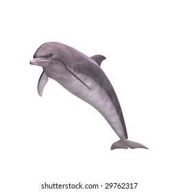 3D Render of a Dolphin With Clipping Path over white - Shutterstock ID 29762317