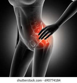 Hip Anatomy Images, Stock Photos & Vectors | Shutterstock