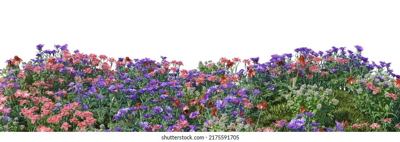 3d Render Flower Garden On White Background