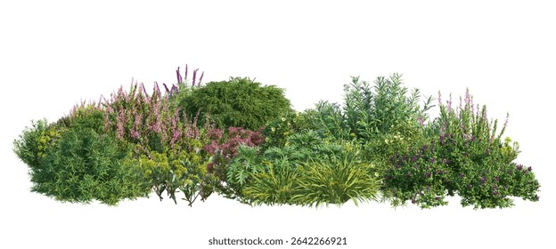 3D render of flowering shrubs on white   background	with clipping path 