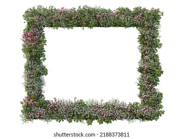3D render flowers on white background