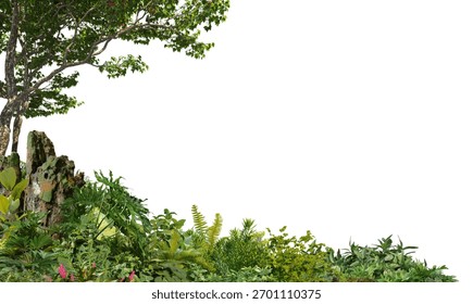 3D render foreground of branches and tropical plants on a white background with clipping path