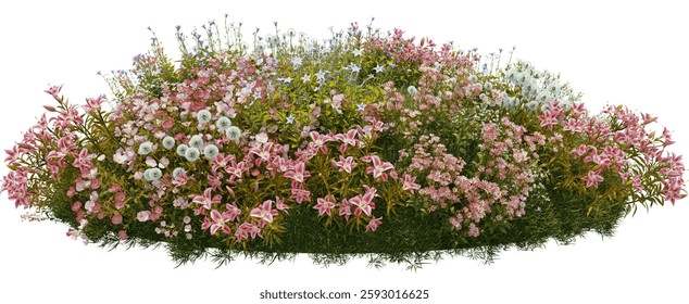 3D Render Foreground Small Flower Garden on White Background with Clipping Path