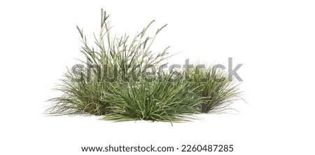 3d render The garden is decorated with flowers and grass, small on a white background with clipping path. 商業照片 © 