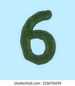 3D Render Of Grass Themed Font Number 6