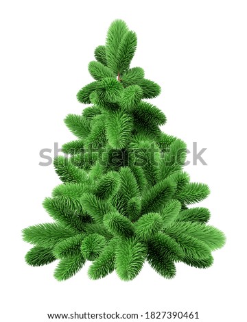 3d render, green Christmas tree, evergreen spruce twigs, seasonal natural clip art isolated on white background