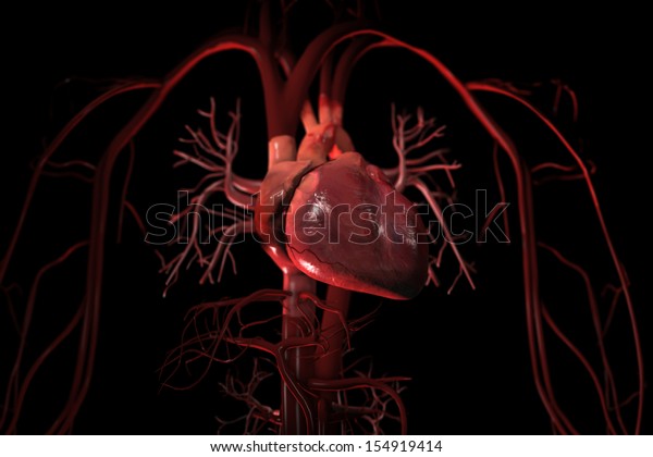 黒い背景に胸部の心臓と主要血管を示すヒトの循環系の3dレンダリング のイラスト素材