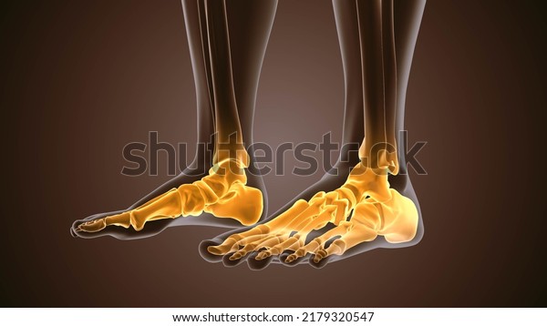 3d render of human\
figure ankle pain