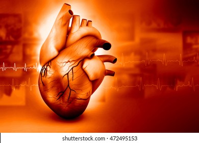 3d Render Of Human Heart In Abstract Background 	