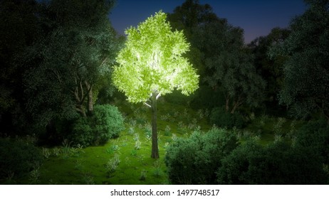 3D Render Illustration Of Bioluminescent Trees