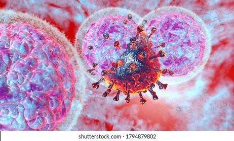 3D render illustration Natural killer body cell immune respone corona virus cell .concept covid-19 antibogy cytotoxic adaptive immune response.
