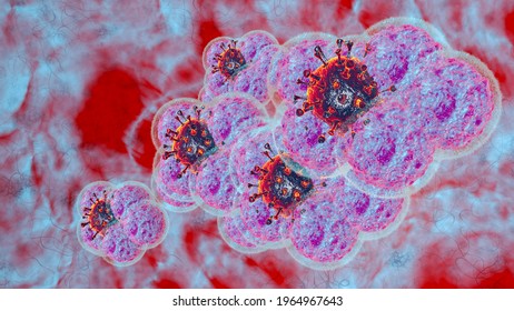 3D Render Illustration Natural Killer Body Cell Immune Respone Corona Virus Cell .concept Covid-19 Antibody Cytotoxic Adaptive Immune Response.