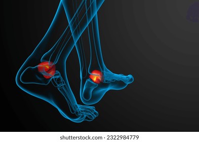 3d render illustration of the talus bone - back view