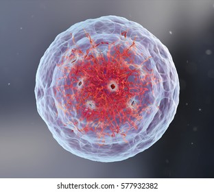 3d Render Illustration.Intracellular Core, Chromatin.Nucleus Of The Eukaryote Cell.
