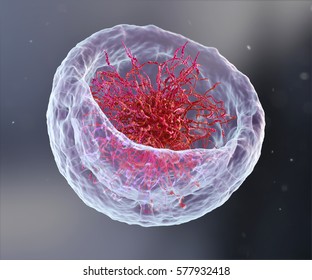 Intracellular Images, Stock Photos & Vectors | Shutterstock