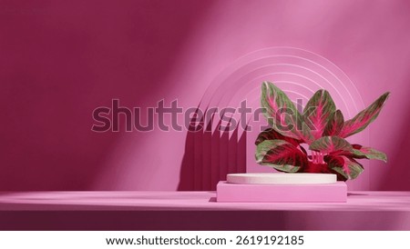 3d render image blank mockup pink color block and cylinder podium in landscape arch backdrop