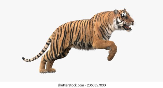 3d Render Image Of Tiger