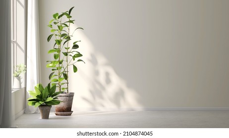 3D render indoor houseplants by the window with morning sunlight show beautiful leaves shadow on an empty beige wall. Natural air purifier, Green living, Space, Mock up, Background, Products overlay.