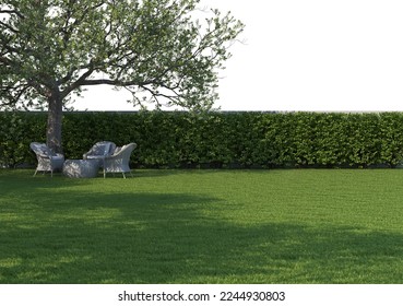 3D render large trees on lawn on white background