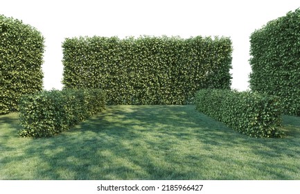 3d Render Lawn And Bush On White Background