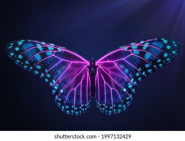 3D Render of Magical glowing neon and fluorescent butterfly in top view